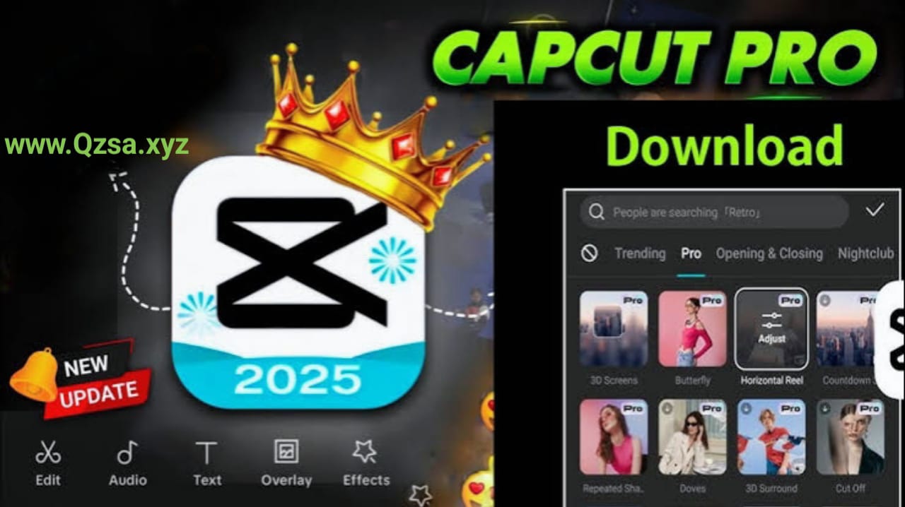 CapCut Pro Apk